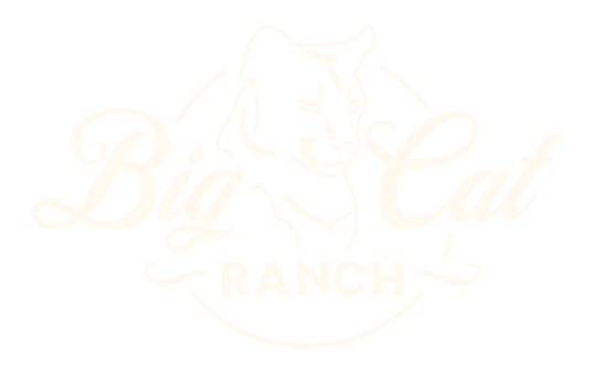 Big Cat Ranch