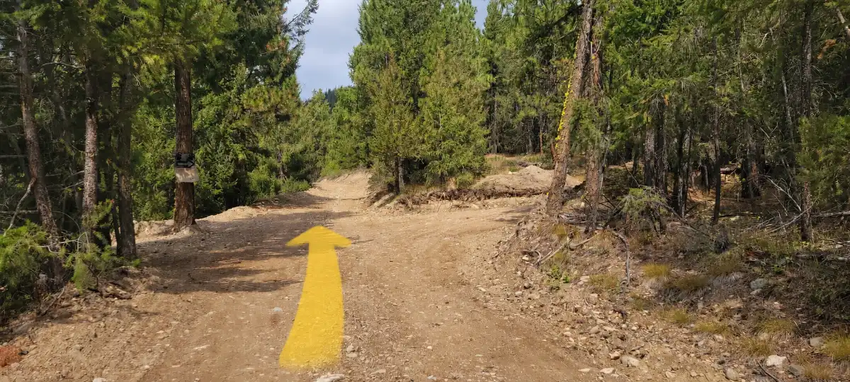 Road split inside Big Cat Ranch with a yellow arrow showing to continue straight toward the cabin