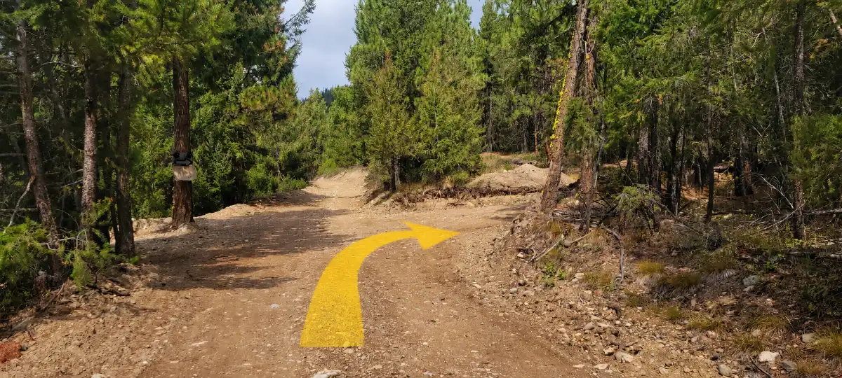 Road split inside Big Cat Ranch with a yellow arrow showing the right turn toward the campground