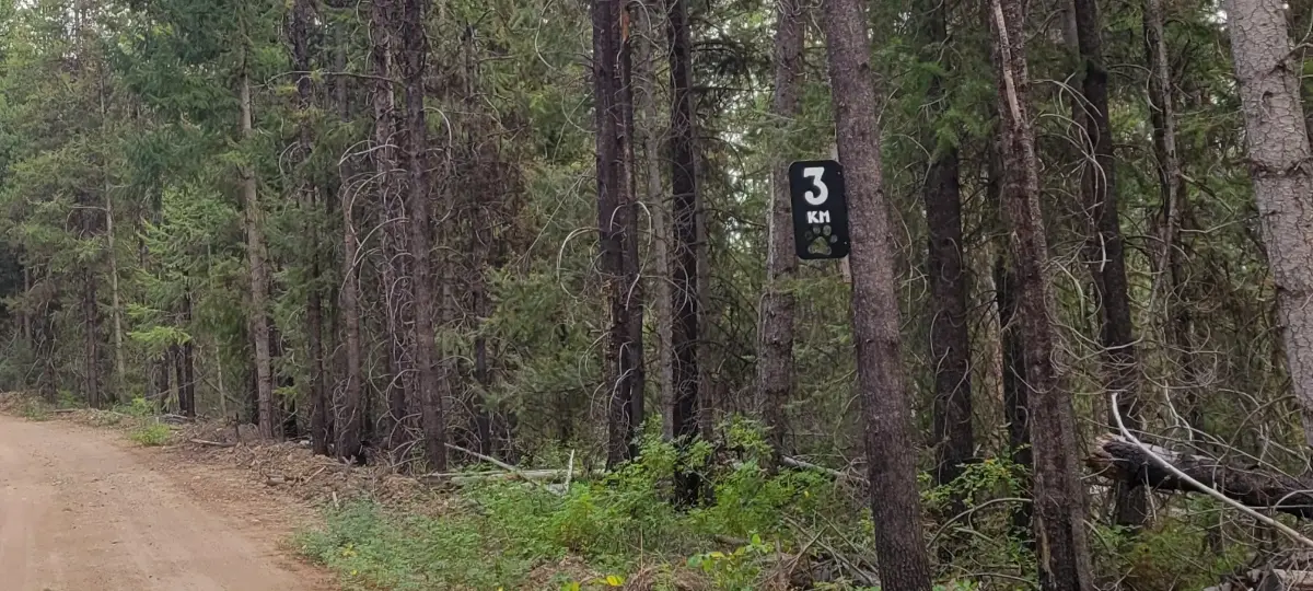 Big Cat Ranch Directions - Step 3 - Follow Cook Creek FSR for approximately 4 km